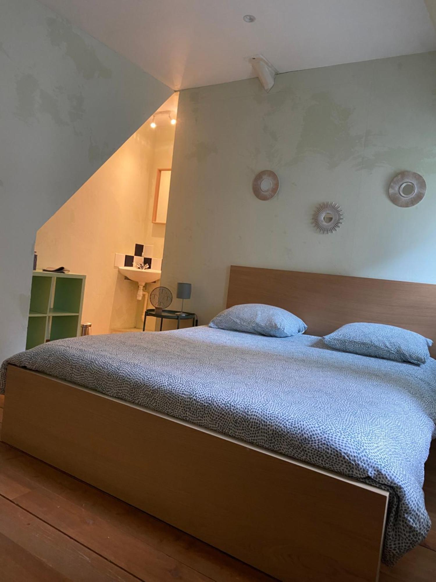 Grand Appartement Historique Rue Colbert トゥール エクステリア 写真