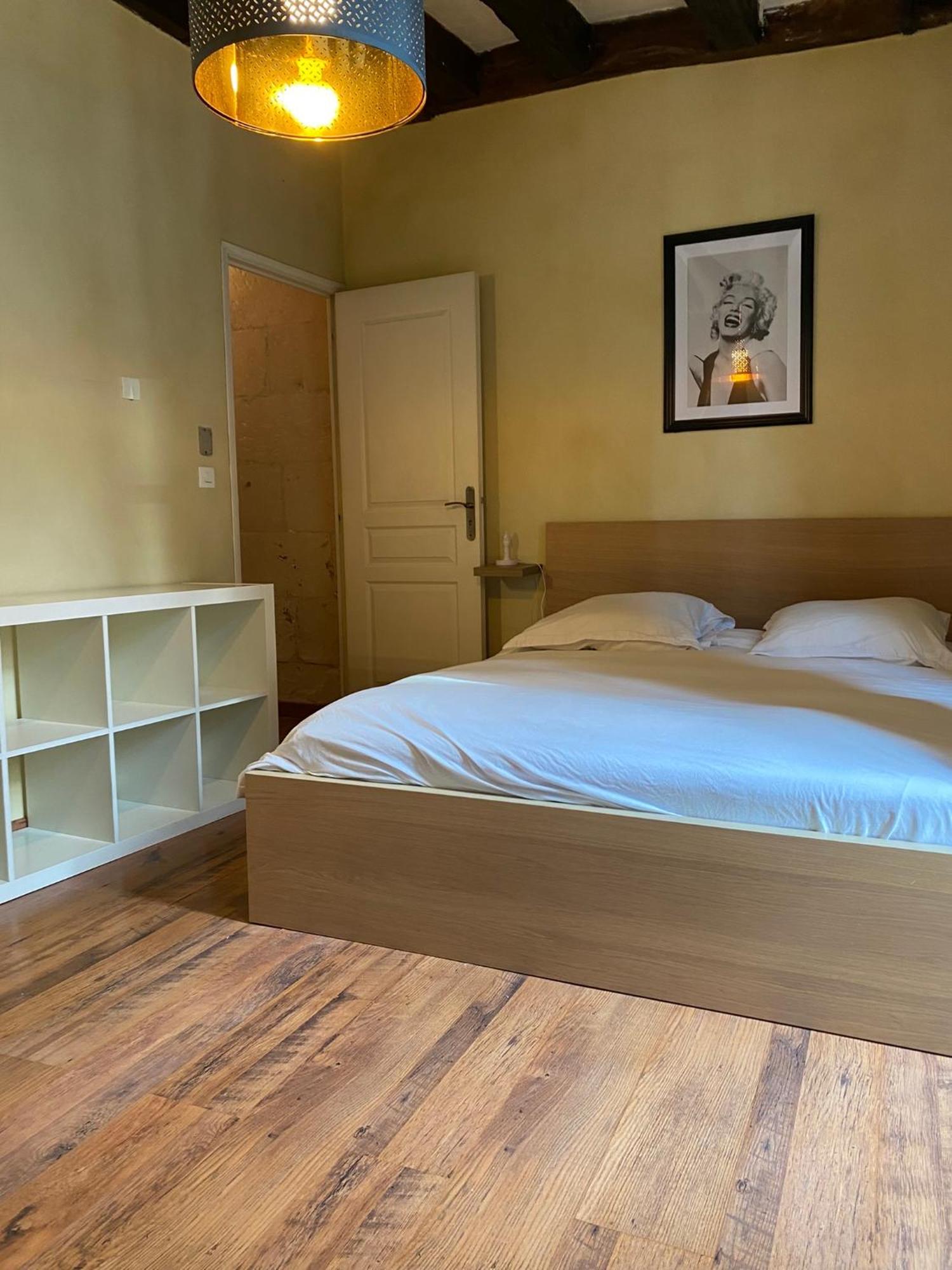 Grand Appartement Historique Rue Colbert トゥール エクステリア 写真