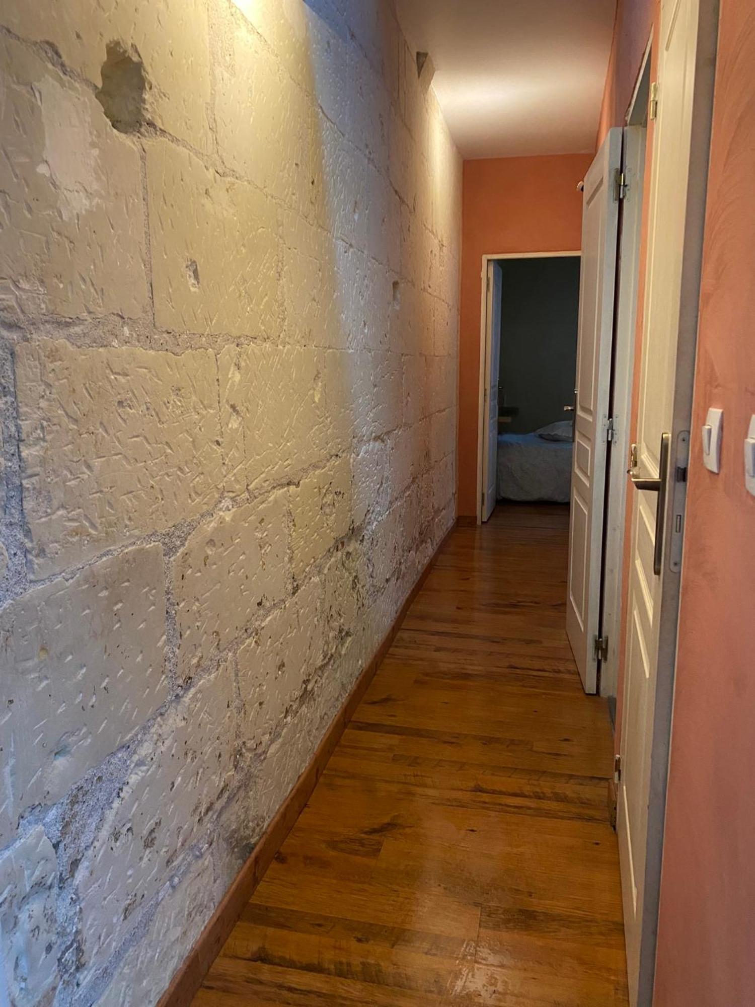 Grand Appartement Historique Rue Colbert トゥール エクステリア 写真