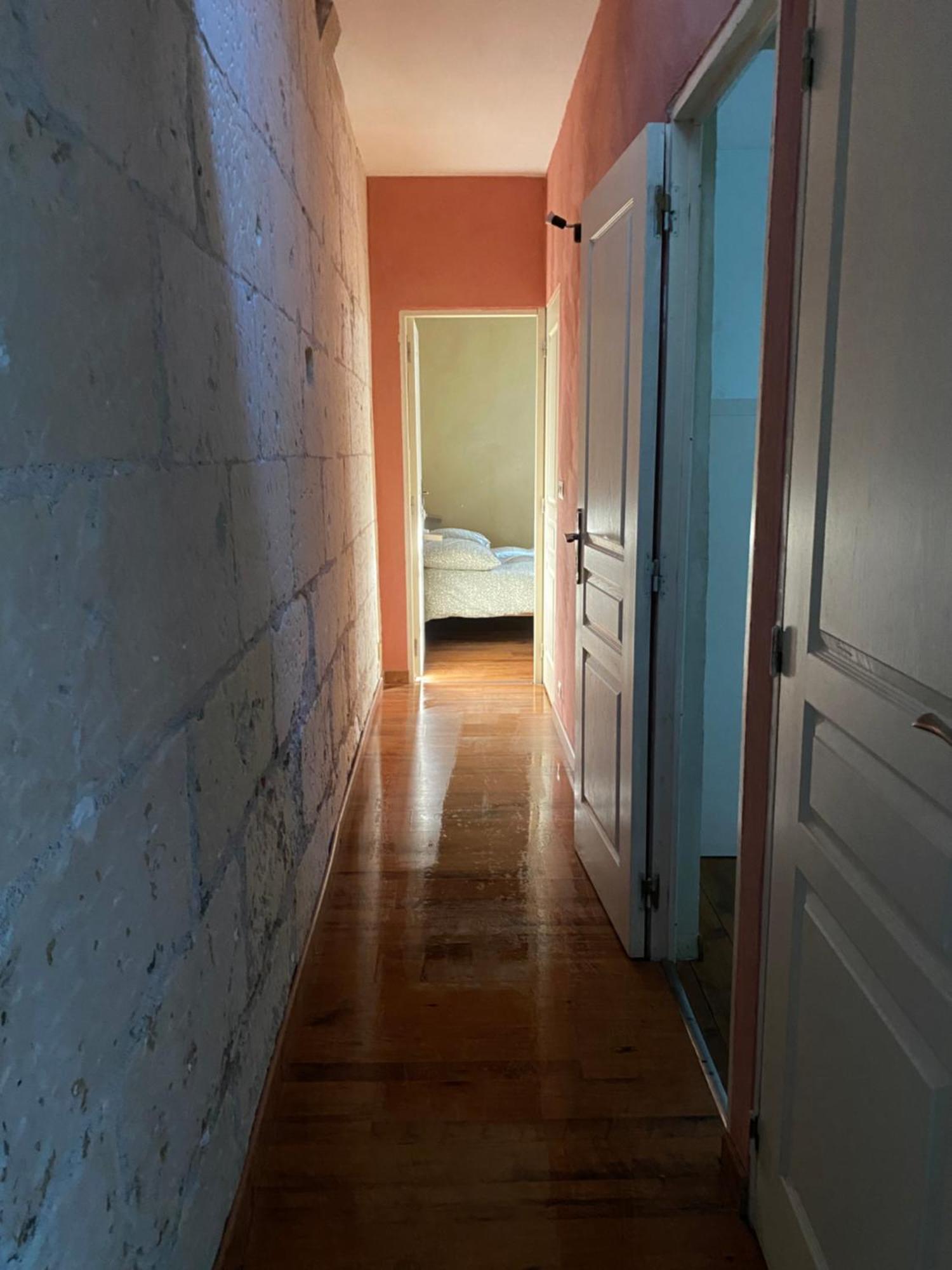 Grand Appartement Historique Rue Colbert トゥール エクステリア 写真