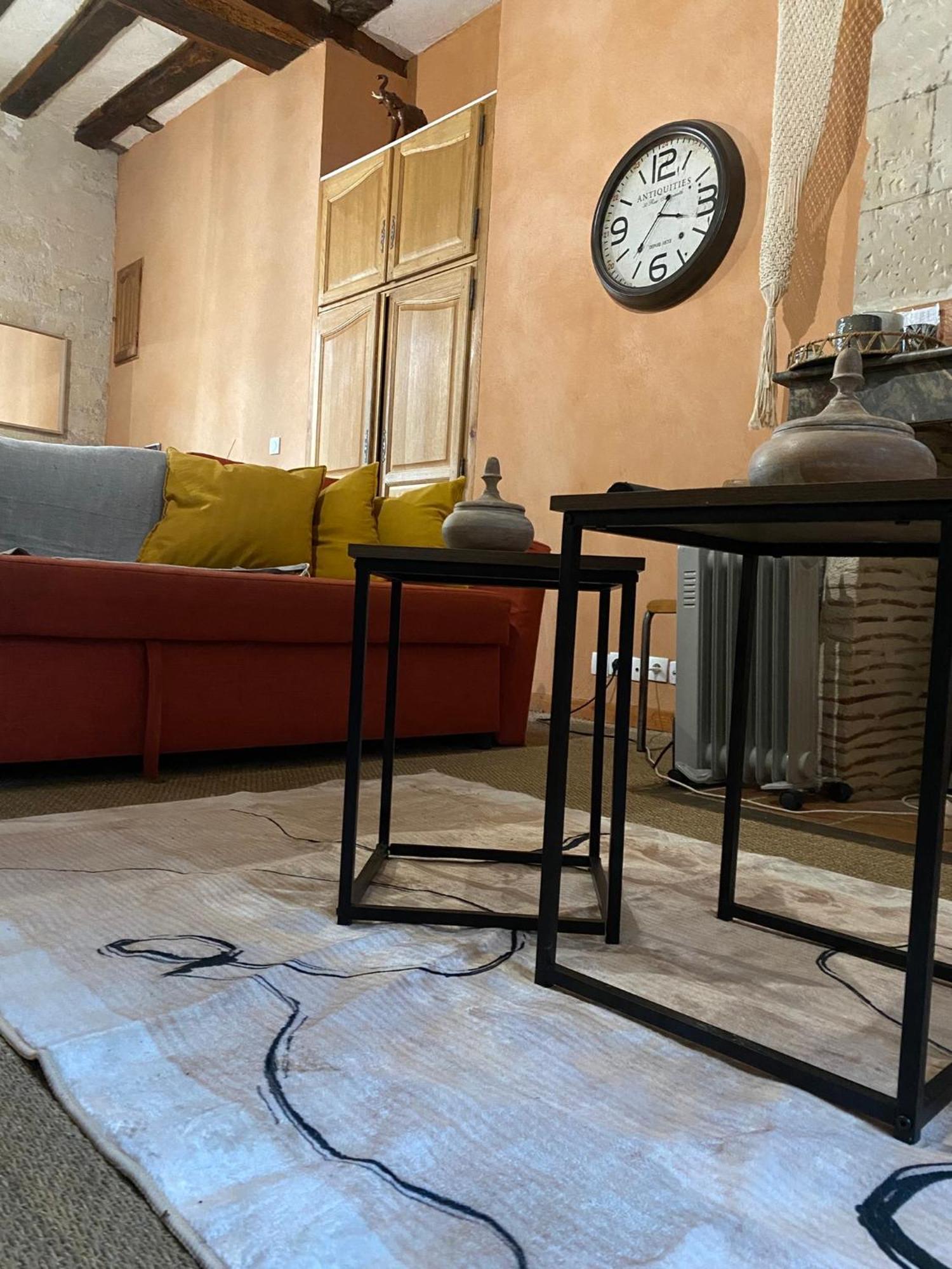 Grand Appartement Historique Rue Colbert トゥール エクステリア 写真